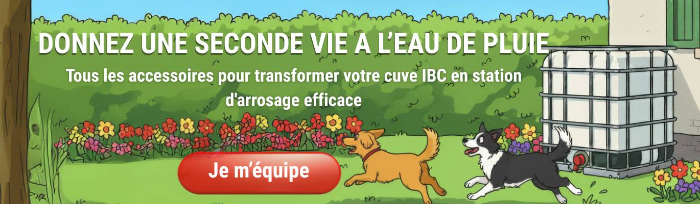 Offer Banner